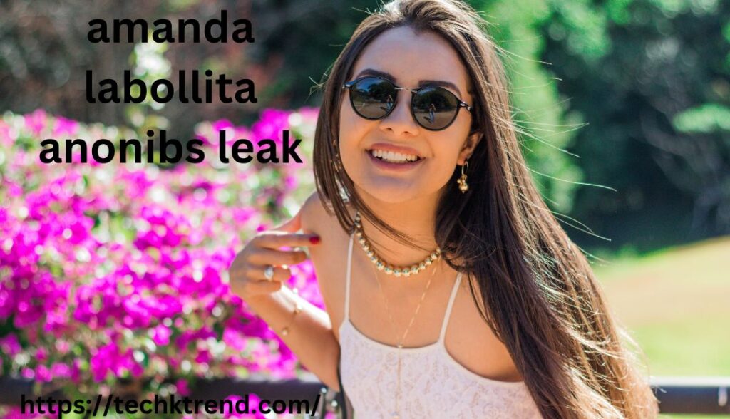 The Amanda Labollita Anonibs Leak: Privacy and Legal Ramifications