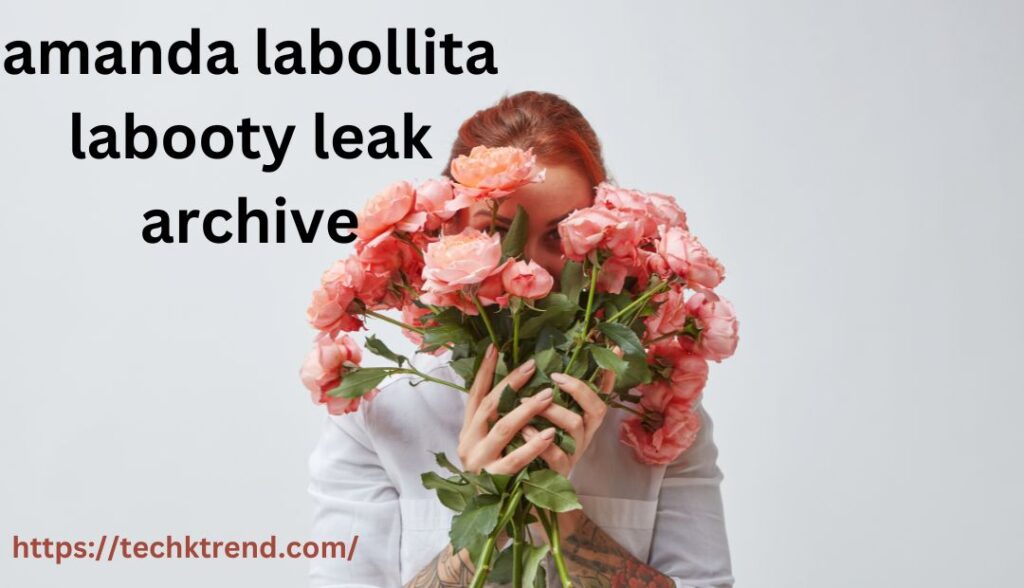 amanda labollita labooty leak archive the Lessons for Creators